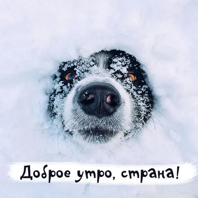 ❄Доброе утро Самара!❄ С первым днем зимы и пятницей! | Подслушано | Самара  | ВКонтакте