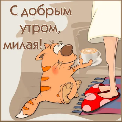 Хорошего дня🥰#утродень#всехорошо#собакадруг#маленькоесердце#мойпес#жи... |  TikTok