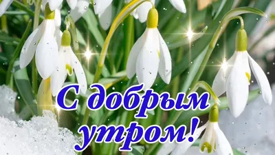 С Добрым Утром! 🌺Скоро Весна! Пусть На Сердце У Всех Потеплеет!  🌺Музыкальная Открытка Пожелание! - YouTube