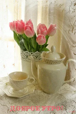 На зеленом фоне тюльпаны на день матери 8-ое марта женского дня или в день  Святого Валентина. Концепция праздников и доброе утро Стоковое Изображение  - изображение насчитывающей природа, цветок: 208449035
