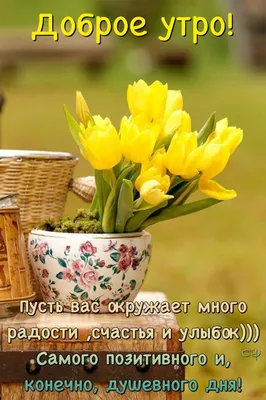 Создать мем \"доброе утро, тюльпаны в прозрачной вазе, кофе и тюльпаны в  вазе\" - Картинки - Meme-arsenal.com