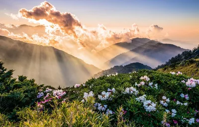 ☀️ Доброе утро, путешественники! Горы – это необычайно красивое творение  природы. В горах человек чувствует свободу и учится преодолевать… |  Instagram