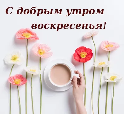 Душевная открытка \"Доброго утра воскресенья!\" • Аудио от Путина, голосовые,  музыкальные