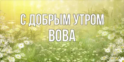 Доброе утро, патриоты! Парни с фронта передают, что готовы идти до Львова!  ❤ нашим бойцам! | ВКонтакте