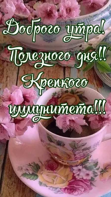 rukzak.in.ua - С Добрым утром!! Всем крепкого здоровья!! | Facebook