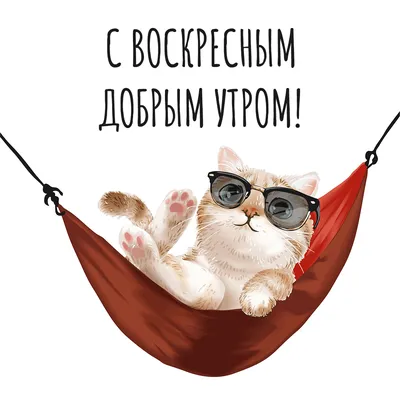 Доброго воскресного утра! #👋🤗😘💃⚘️ #воскресенье #доброеутречко #до... |  TikTok