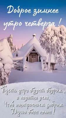 Картинка \"Доброго зимнего утра!\" с собакой и котиком • Аудио от Путина,  голосовые, музыкальные