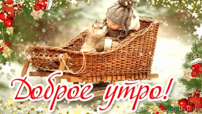 ЗИМНЕЕ УТРО 🎄💖⛄🍒❄🎇❄🍒⛄💖🎄 ДОБРОЕ! | Винтажные чаепития, День памяти,  Открытки