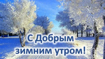 Красивые открытки \"С добрым зимним утром!\" (485 шт.)