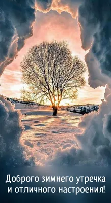Красивые картинки хорошего дня зимние (46 фото) » Юмор, позитив и много  смешных картинок