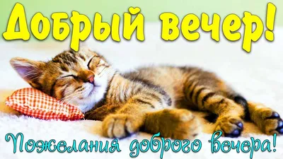 Открытка добрый вечер, дорогой мой