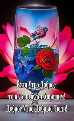 X 上的 Корнилова Наталия Николаевна：「Доброе утро и чудесного дня всем добрым  людям! Прекрасной, плодотворной пятницы и радостных встреч!  https://t.co/gZsP0oEkQC」 / X