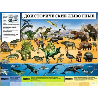 Плакат \"Доисторические животные\"