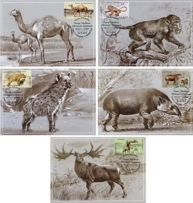 Доисторические животные, динозавры, дерево CollectA, Safari, Schleich  (ID#1924522666), цена: 1176 ₴, купить на Prom.ua