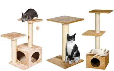 Круглый домик для кошки (обзор): уютное убежище + классная лежанка -  ПетОбзор