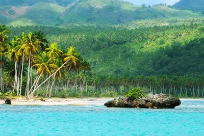 ТОП-5 мест Доминиканы, которые стоит посетить сразу после открытия границ |  Ассоциация Туроператоров