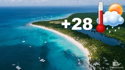 Когда лучше ехать в Доминикану? ☀️ Сезон 2024, погода, дешевле, с детьми