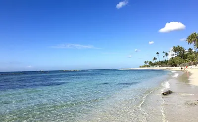 Доминикана летом: правила отдыха, погода, курорты, реальные фото