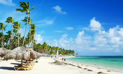 Побережье Доминиканы 🌊: особенности береговой линии 🌴