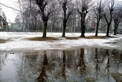 Моё место на кухне | Весна пришла! Но давайте вспомним зиму! Какая она была  красивая, снежная и морозная, дождливая и солнечная! В общем, очень  переменчивая! Такой мы её и запомним! Прощай, зима!! |