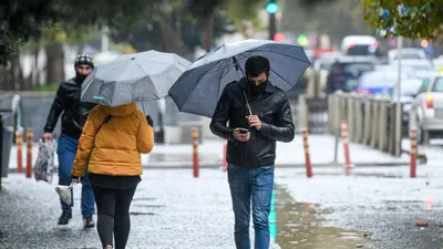 Жителям Москвы рассказали о дождливой погоде 7 октября - Газета.Ru | Новости