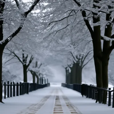Дождливая зима 😢 Но ёлочка прекрасна 😍 | Подслушано Смоленск | ВКонтакте