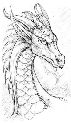 Рисунки дракона для срисовки - 61 фото
