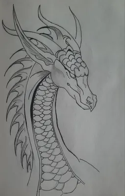 Рисунок дракона (dragon) | Рисунок дракона, Рисунки драконов, Рисунок