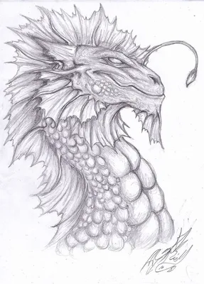 Рисунки китайского дракона для срисовки (54 фото)