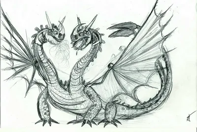 Рисунки драконов для срисовки (100 фото) | Эскиз дракона, Рисунки драконов,  Рисунки сердца