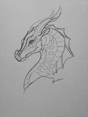 Картинки драконов для срисовки 7 лет (29 шт)