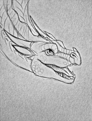 Рисунки драконов для срисовки - 80 фото