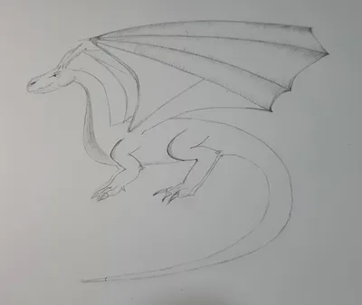 Как Нарисовать Как Приручить Дракона (56 Фото)