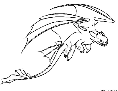 Раскраска Ночная фурия | Раскраски из мультфильма Как приручить дракона  (How to Train Your Dragon)