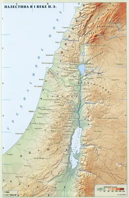 Библейская карта «Палестина во времена Нового Завета», цена — 0 р., купить  книгу в интернет-магазине