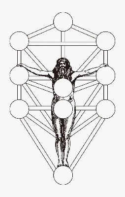 Древо жизни» — создано в Шедевруме