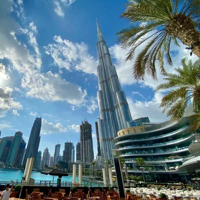 🇦🇪 Бесплатный Дубай - обзор от Александра на travelhacks.guru