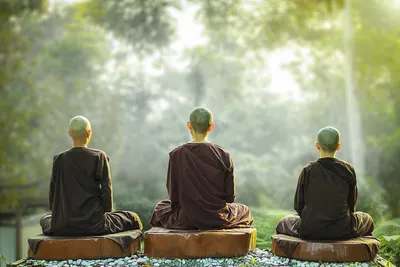 Дзэн-буддизм для ничего: учение Кодо Саваки Роси — Моноклер