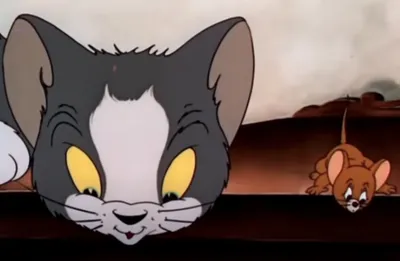 Том Кэт Джерри Маус Том и Джерри, Злой Джерри Фри, Джерри Мышь,  млекопитающее, кошка, как млекопитающее png | PNGWing