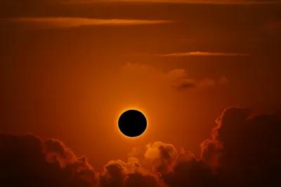 Solar eclipse April 2023: How to see stunning rare 'hybrid' event tonight -  BBC Science Focus Magazine