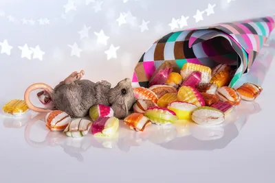 Рисунок цветочных конфет: сладкие букеты, которые никогда не увянут