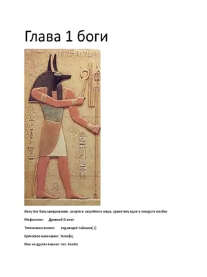 7 богов-животных в египетской мифологии | Обратная сторона Истории|Легенды  | Дзен
