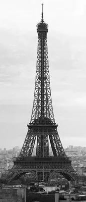 Фотообои Эйфелева башня черно белая купить на стену • Эко Обои