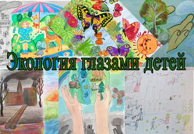 Экологический проект с детьми старшей группы детского сада (6 фото).  Воспитателям детских садов, школьным учителям и педагогам - Маам.ру