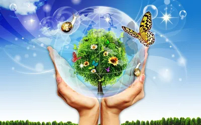 Работа — Экологический плакат \"Выбор за тобой!\", автор Погадаев Александр