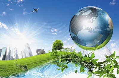 Экология и бизнес: зачем нужен экомаркетинг и как его организовать