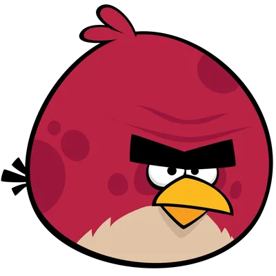 The Angry Birds Movie: The Junior Novel: Cerasi, Chris: 9780062453365:  Amazon.com: Books