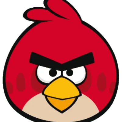 Terence | Angry Birds