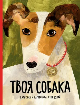 Твоя собака - купить книгу в интернет-магазине Самокат