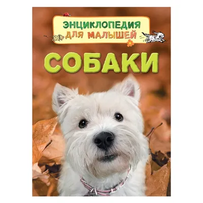 Книга. Энциклопедия для малышей Собаки | Интернет-магазин Континент игрушек